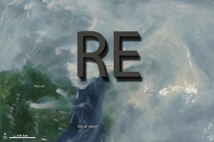 Reinsurance