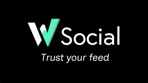 The newest European social media: Interview with W Social founder, Anna Zeiter
